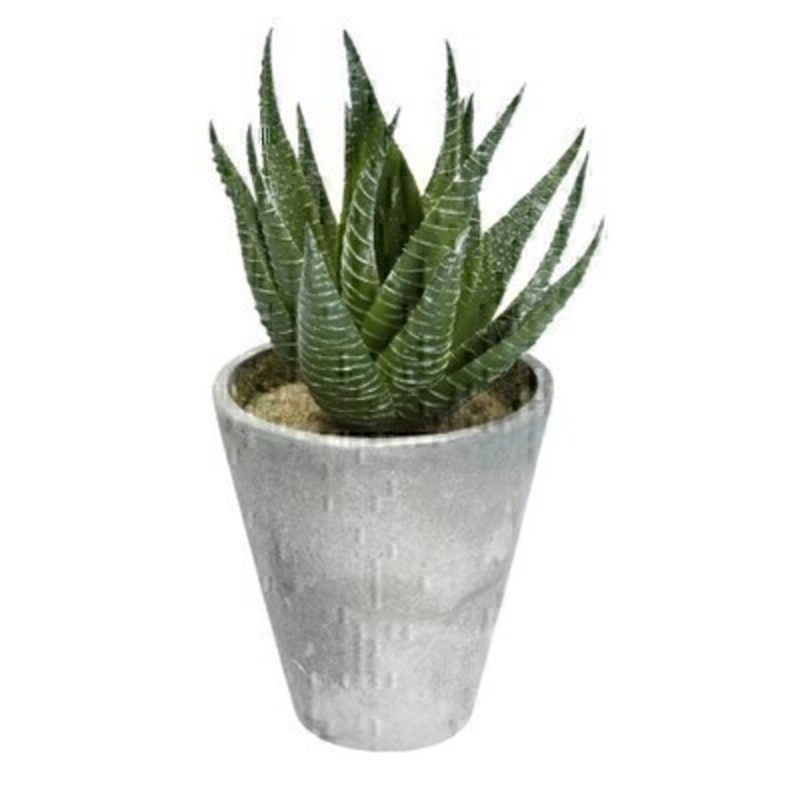 Faux Aloe Vera In Pot By Gisela Graham